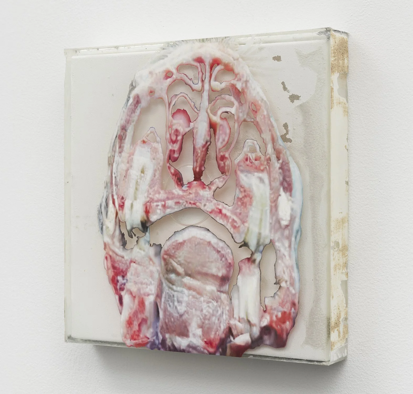 Andres Serrano & Benjamin Bertocci: In Battle or in Vain — Lubov